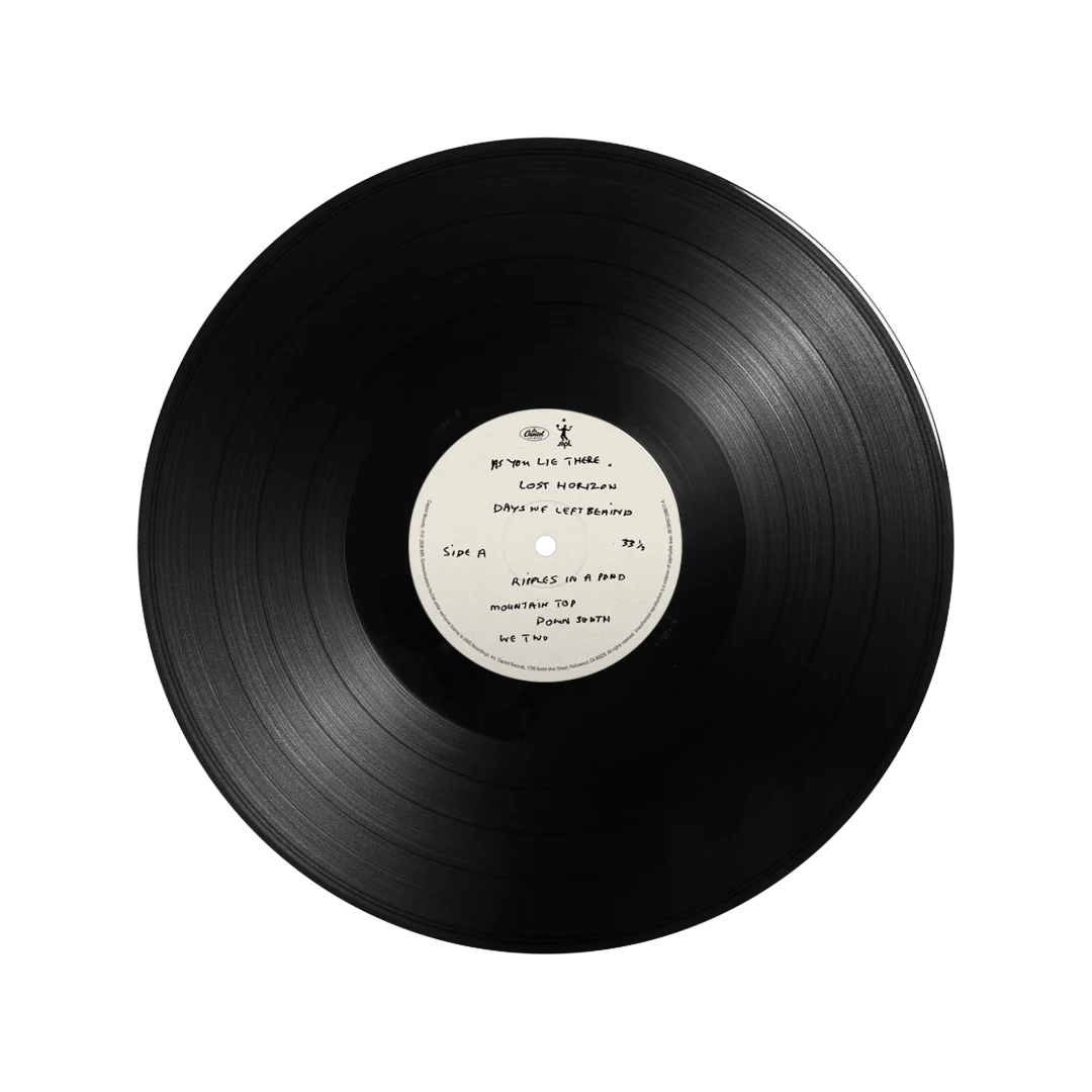 The Boys of Dungeon Lane - 180g Gatefold LP - Image 6